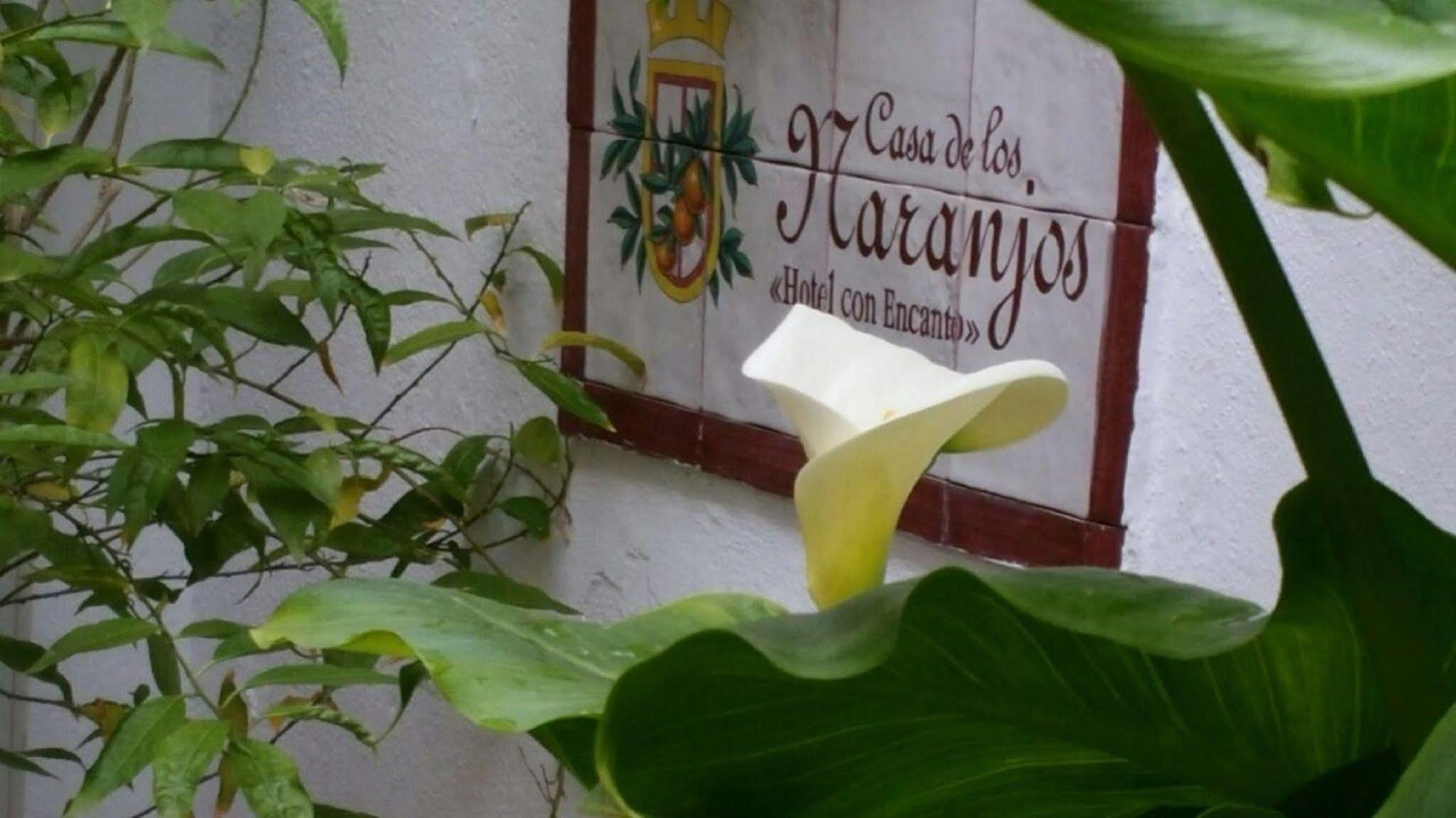 Hotel Boutique Puerta Del Rincon Kordoba Bagian luar foto